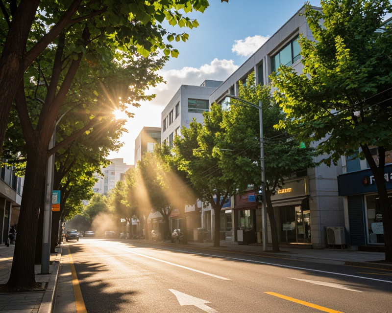 Summer Heat in Seoul